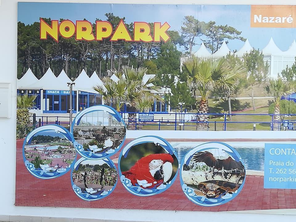 B&B O Pescador Ναζαρέ Εξωτερικό φωτογραφία